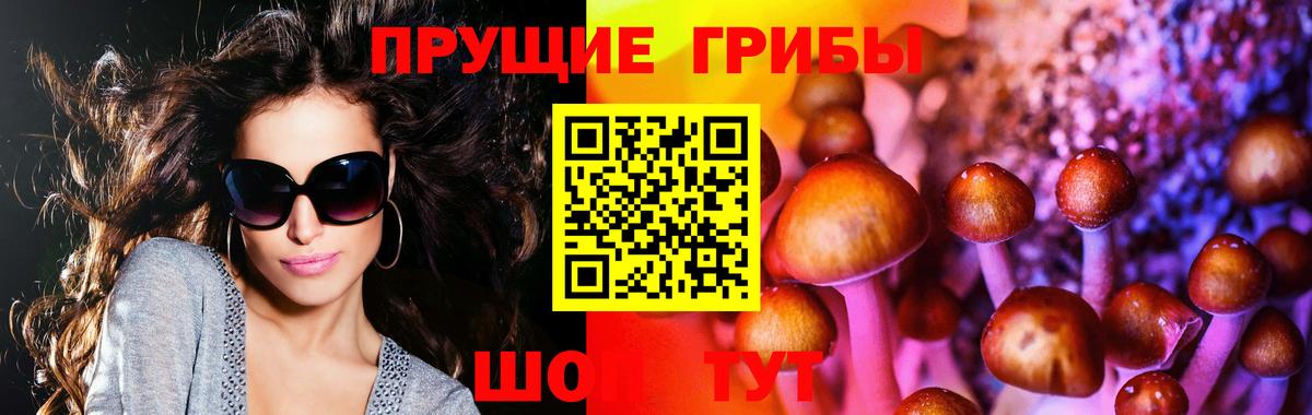 Лениногорск  Псилоцибиновые грибы Psilocybe  Вход с VPN  Псилоцибиновые грибы ЛСД 